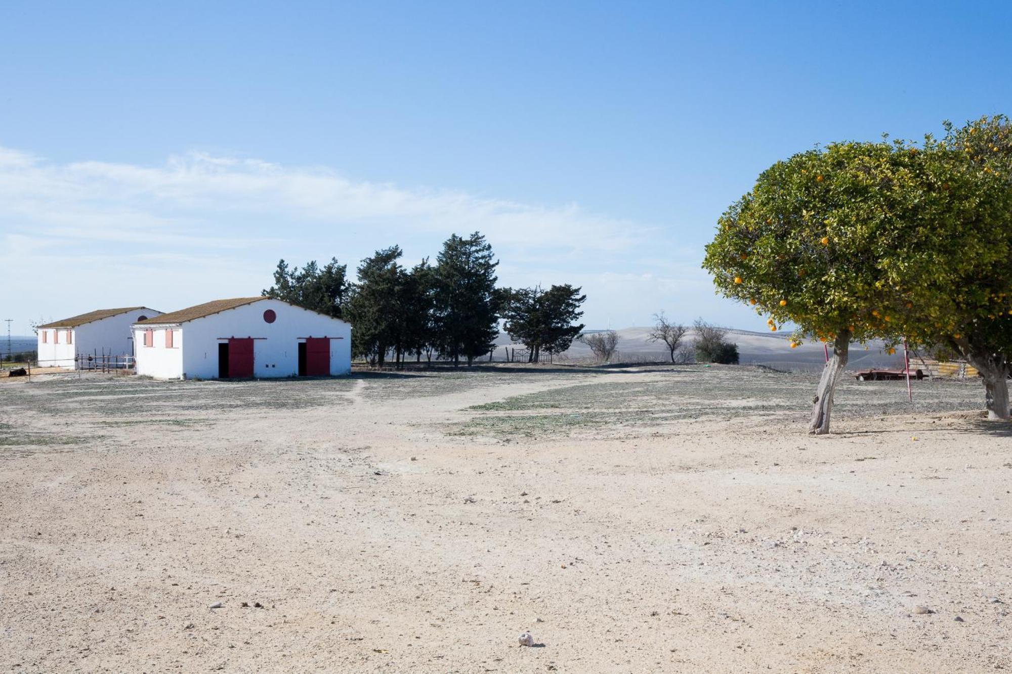 הוילה חרז Cortijo Rural La Mariscala מראה חיצוני תמונה